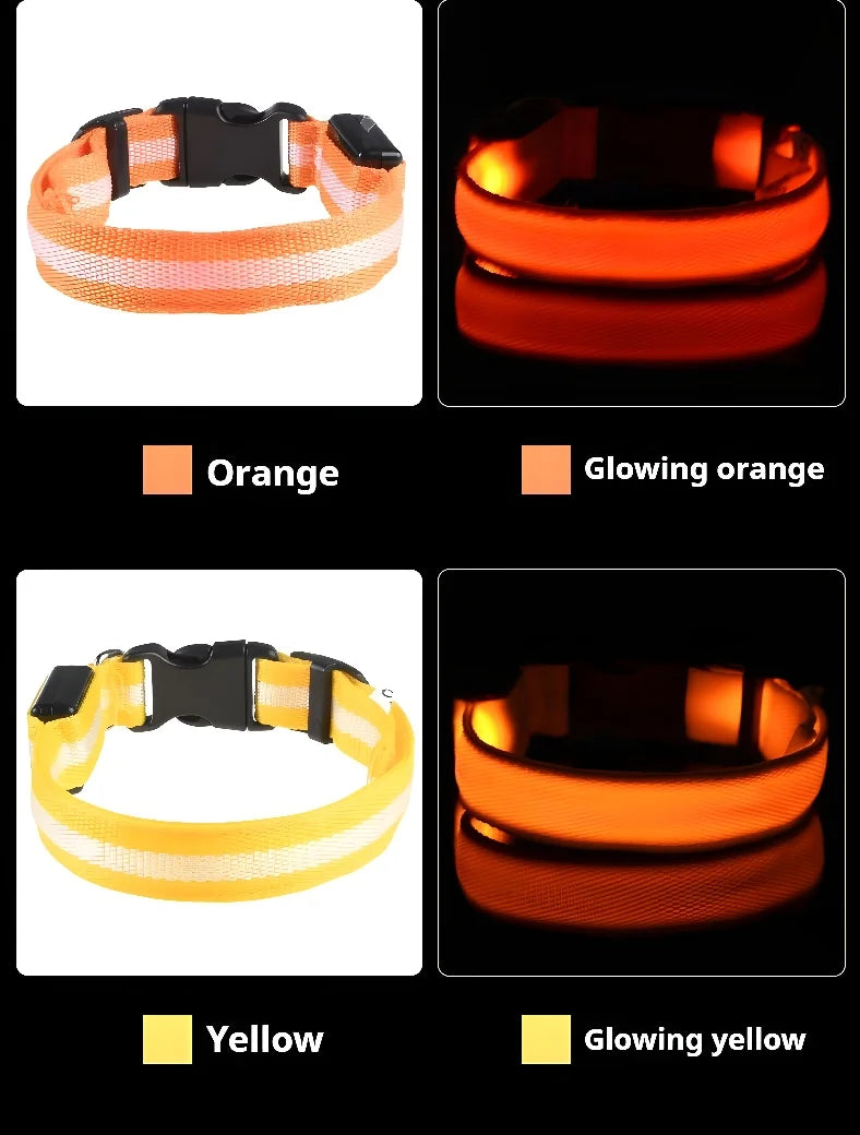 Dog Collar Nylon LED Night Safety Flashing | Glow In The Dark Dog Leash