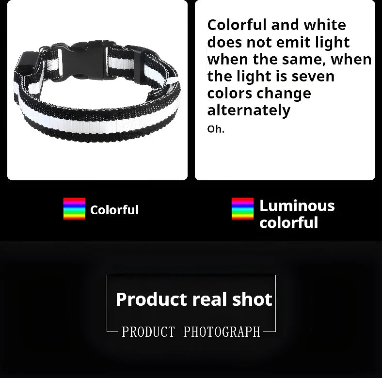 Dog Collar Nylon LED Night Safety Flashing | Glow In The Dark Dog Leash