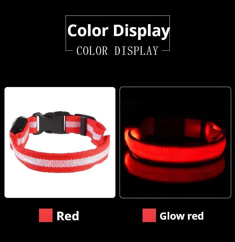 Dog Collar Nylon LED Night Safety Flashing | Glow In The Dark Dog Leash