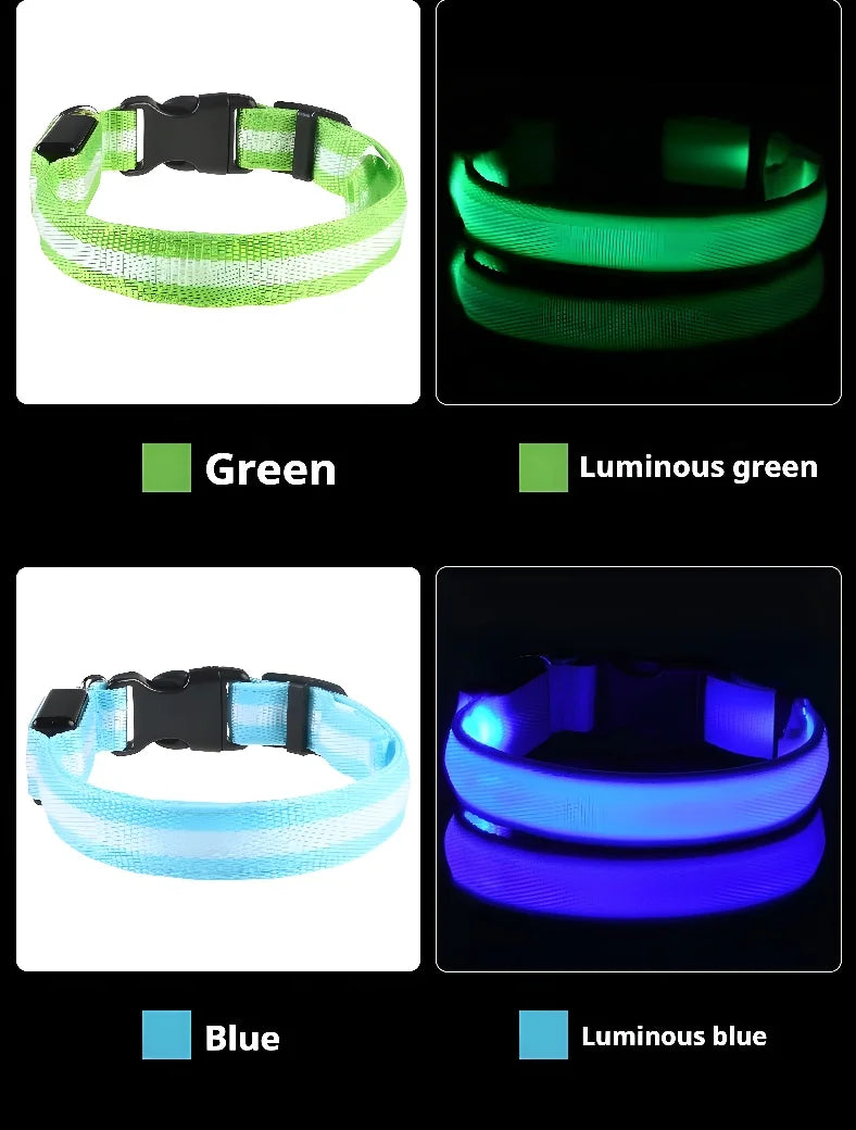 Dog Collar Nylon LED Night Safety Flashing | Glow In The Dark Dog Leash