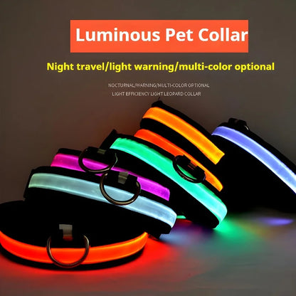 Dog Collar Nylon LED Night Safety Flashing | Glow In The Dark Dog Leash