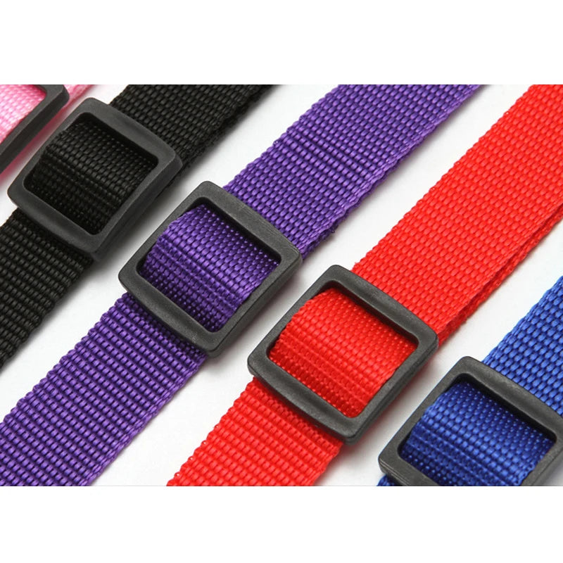 Solid Color Two-in-one Pet Car Seat Belt | Nylon Lead Leash | Backseat Safety Belt | Adjustable Dogs Harness Collar| Pet Accessories