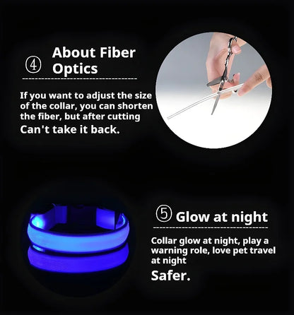 Dog Collar Nylon LED Night Safety Flashing | Glow In The Dark Dog Leash