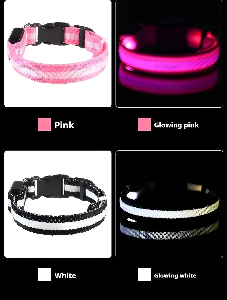 Dog Collar Nylon LED Night Safety Flashing | Glow In The Dark Dog Leash