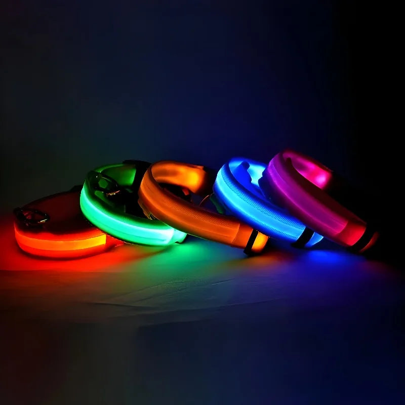 Dog Collar Nylon LED Night Safety Flashing | Glow In The Dark Dog Leash