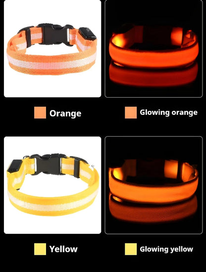 Dog Collar Nylon LED Night Safety Flashing | Glow In The Dark Dog Leash