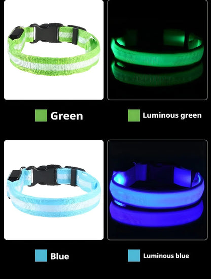 Dog Collar Nylon LED Night Safety Flashing | Glow In The Dark Dog Leash