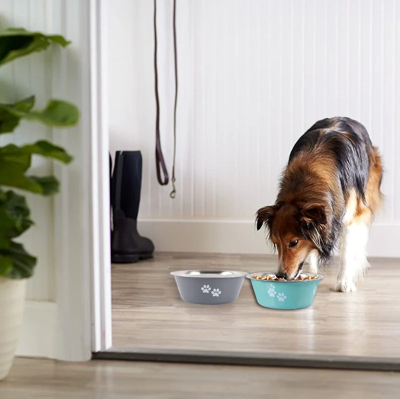 Non-slip Dog Bowls For Small Medium Large Dog | Feeder Bowls And Drinkers Stainless Steel | Dogs Accessories