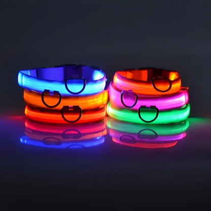 Dog Collar Nylon LED Night Safety Flashing | Glow In The Dark Dog Leash