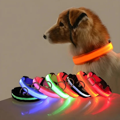 Dog Collar Nylon LED Night Safety Flashing | Glow In The Dark Dog Leash