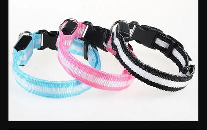 Dog Collar Nylon LED Night Safety Flashing | Glow In The Dark Dog Leash