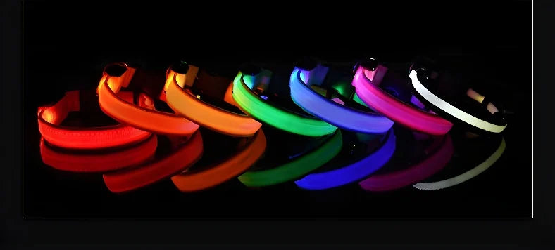 Dog Collar Nylon LED Night Safety Flashing | Glow In The Dark Dog Leash