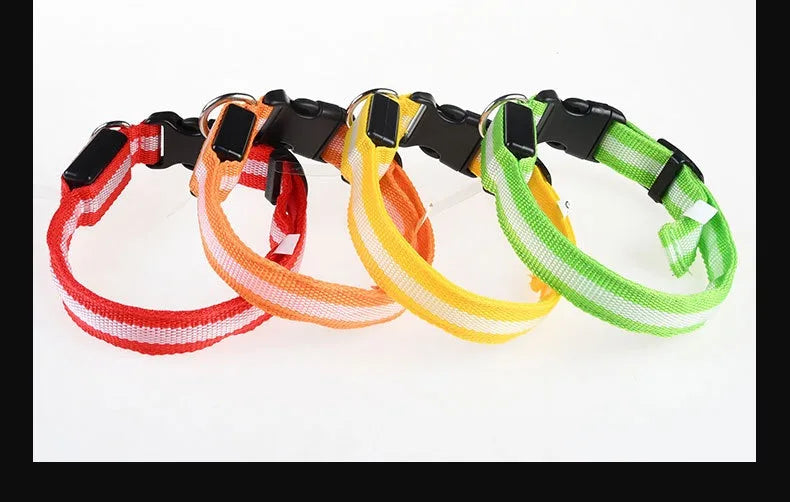 Dog Collar Nylon LED Night Safety Flashing | Glow In The Dark Dog Leash